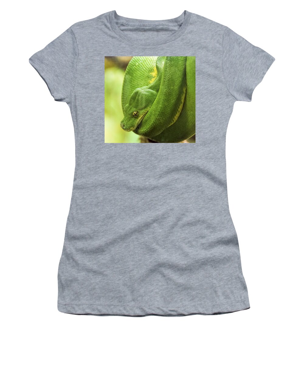 Pennysprints Women's T-Shirt featuring the photograph Green Tree Python by Penny Lisowski