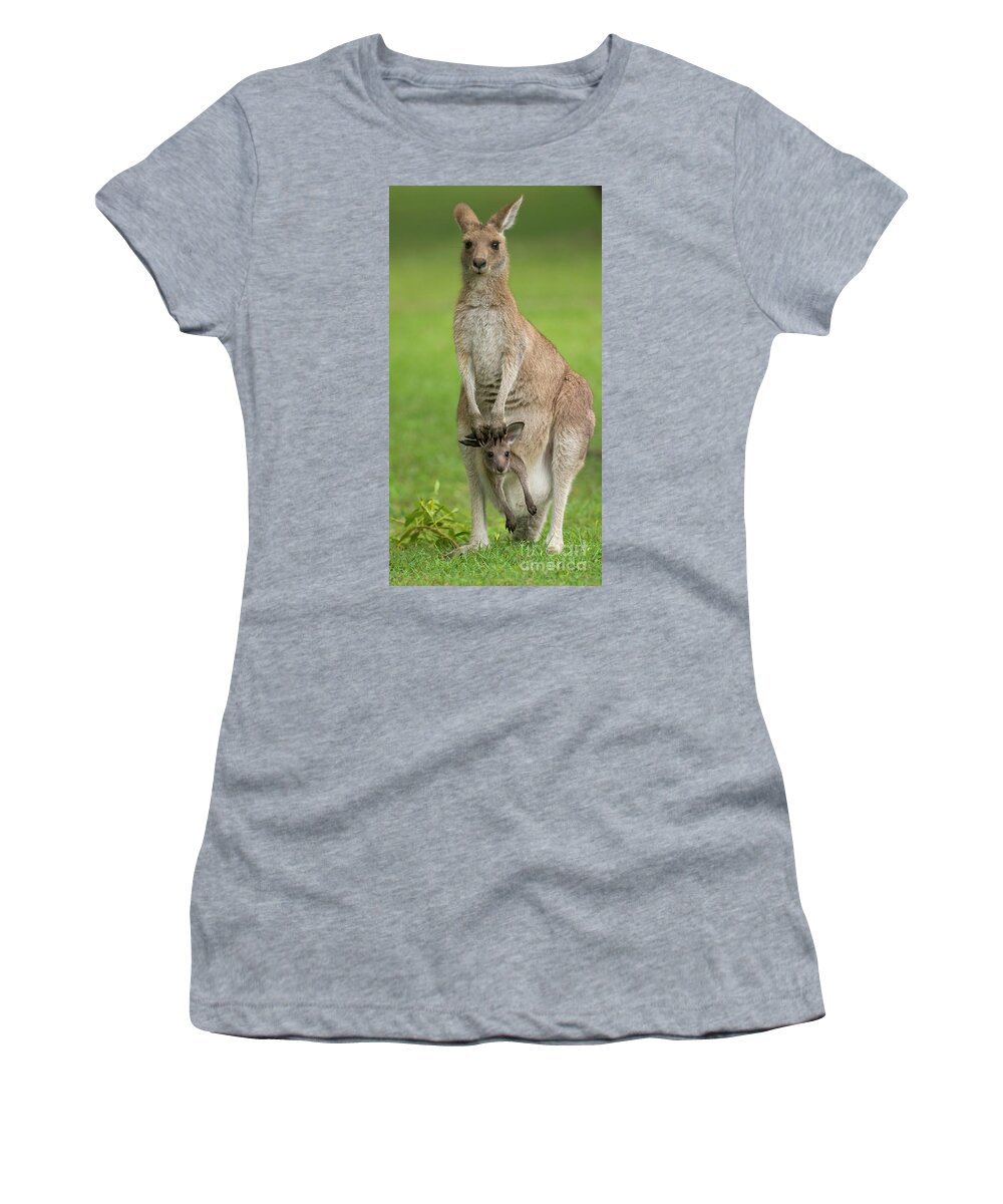 00462649 Women's T-Shirt featuring the photograph Grey Kangaroo And Joey by Yva Momatiuk John Eastcott
