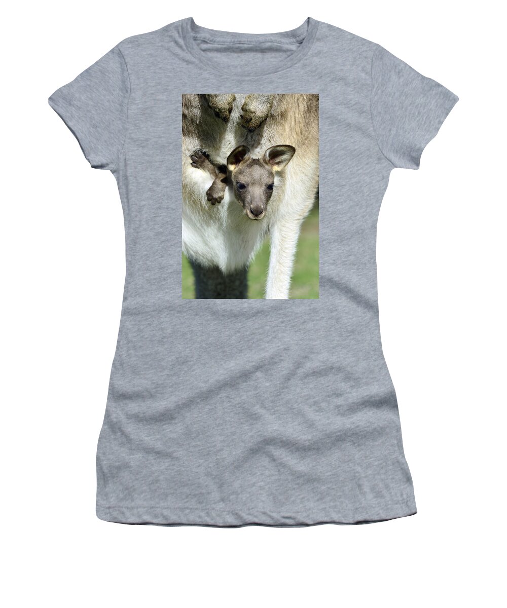 531427 Women's T-Shirt featuring the photograph Grey Kangaroo With Joey Tasmania by D. Parer & E. Parer-Cook
