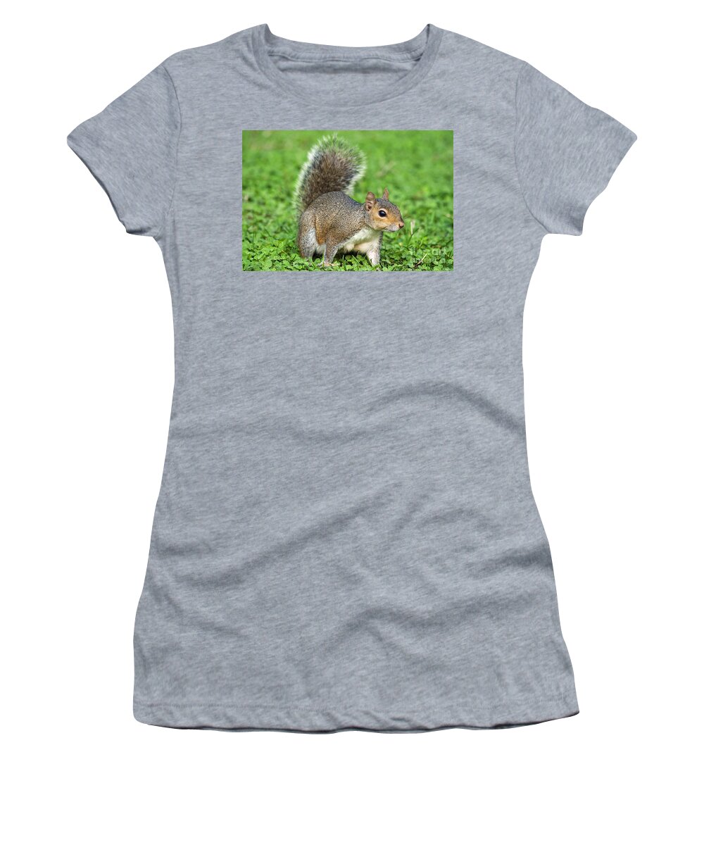 Adorable Women's T-Shirt featuring the photograph Grey Squirrel by Antonio Scarpi