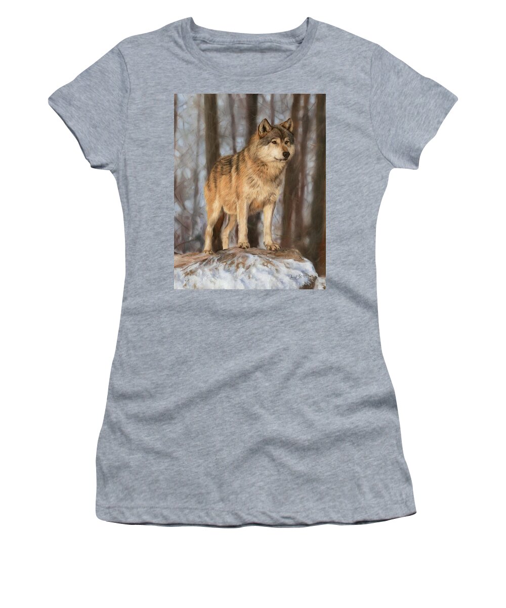 Wolf Women's T-Shirt featuring the painting Grey Wolf by David Stribbling