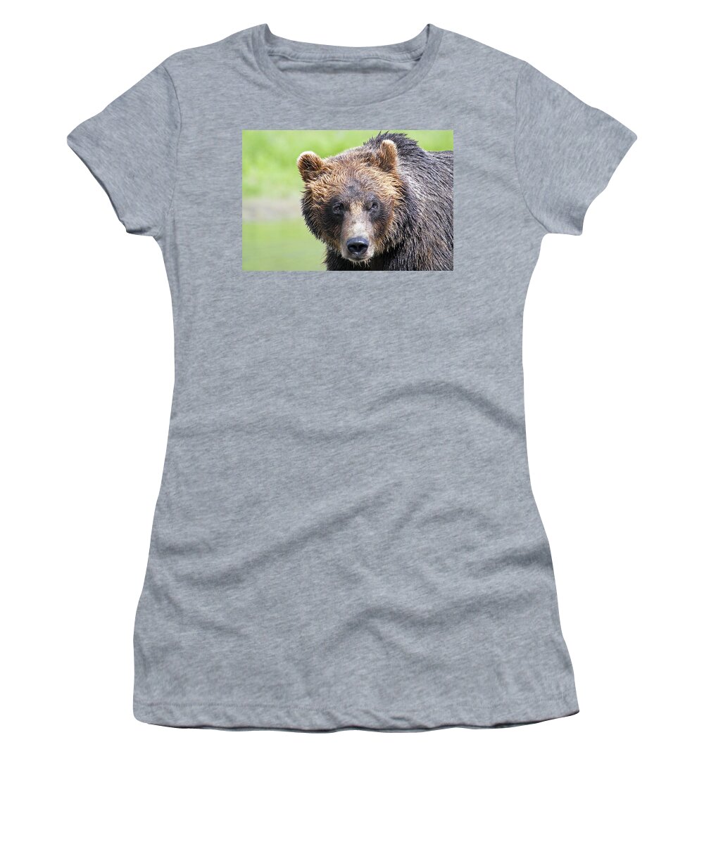 Alaska Women's T-Shirt featuring the photograph Grizzly Bear by Kyle Lavey