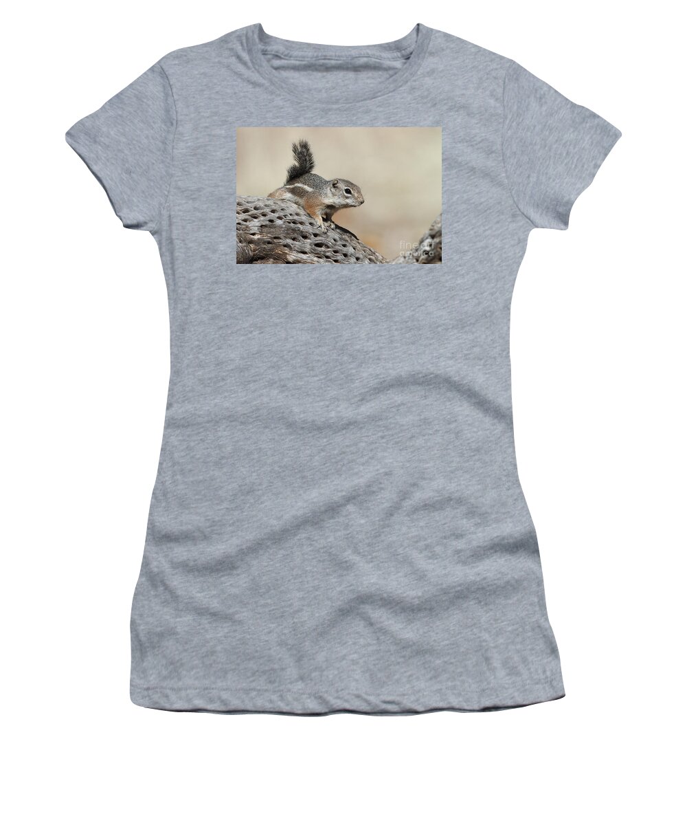 Ground Squirrel Women's T-Shirt featuring the photograph Ground Squirrel on a cactus by Bryan Keil
