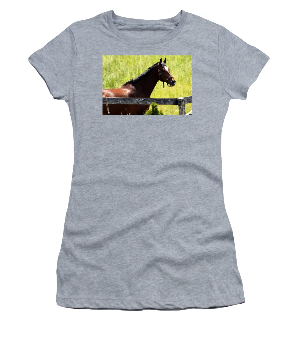 Horse Women's T-Shirt featuring the photograph Handsom Horse by Janice Byer