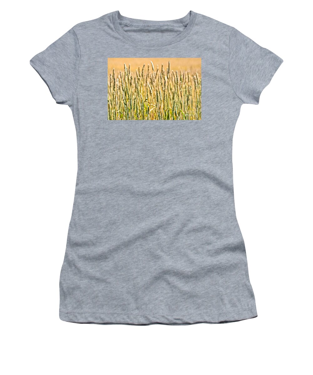 Wheat Women's T-Shirt featuring the photograph Harvest Time by Cheryl Baxter