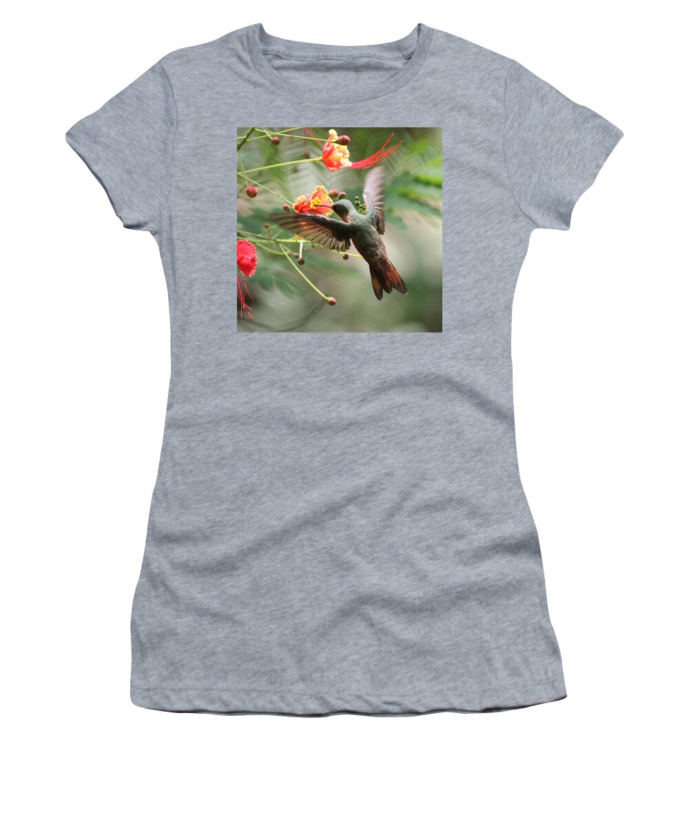 Hummingbird Women's T-Shirt featuring the photograph Haunting Hummingbird by Nathan Miller