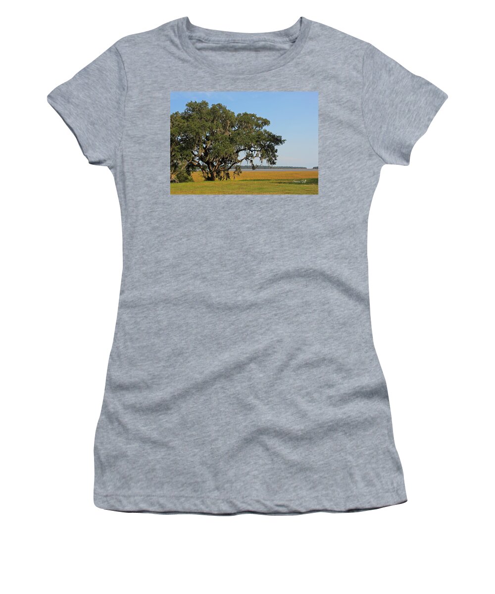 Live Oak Women's T-Shirt featuring the photograph Heaven is a Beautiful Place by Suzanne Gaff