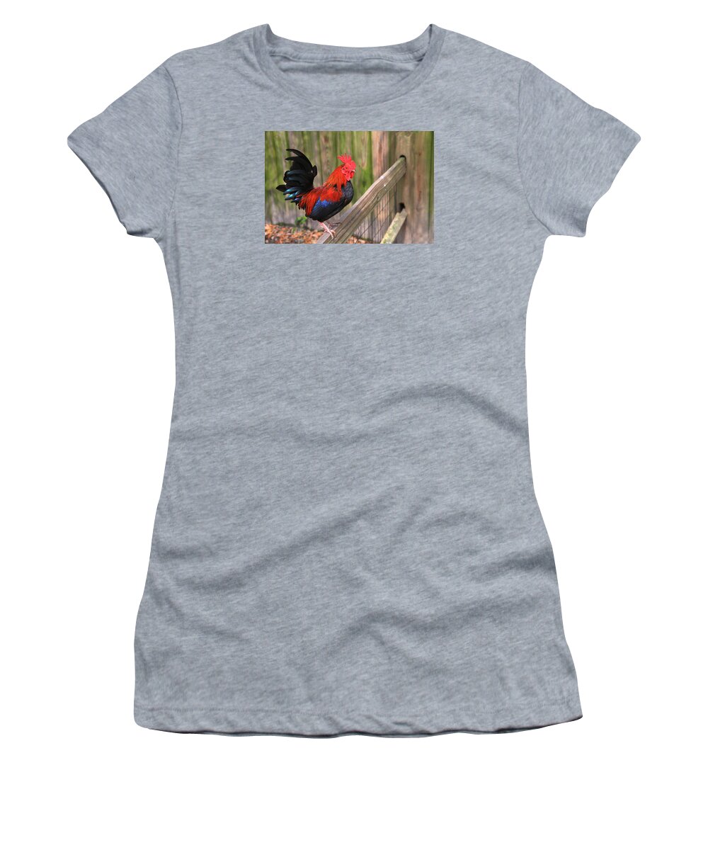 Still Life Photography Women's T-Shirt featuring the photograph Hello World by Mary Buck