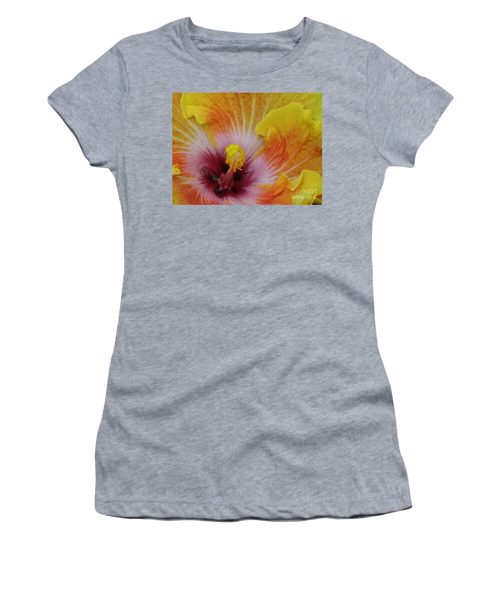 Hibiscus Women's T-Shirt featuring the photograph Hibiscus by Tam Ryan