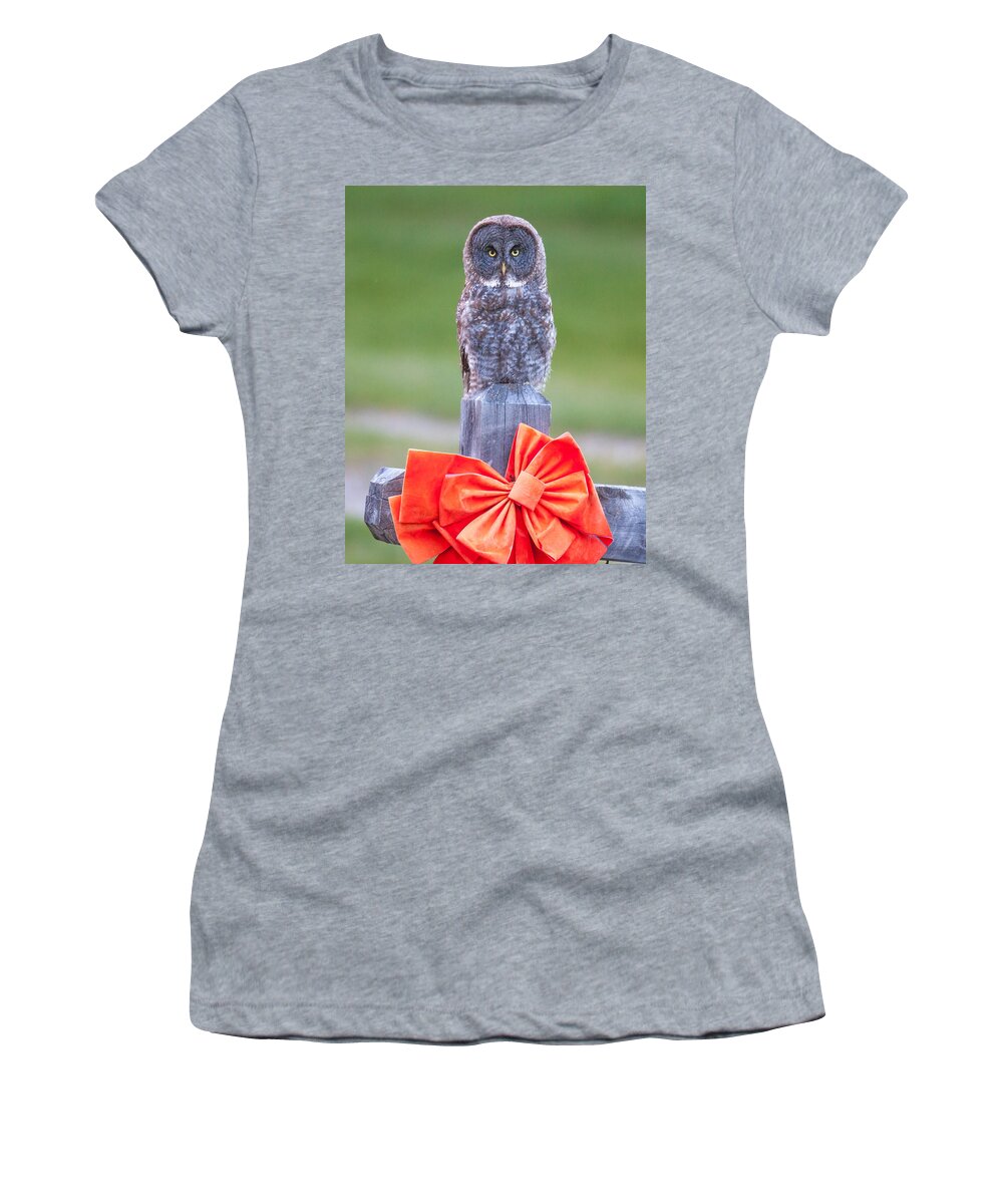Wildlife Women's T-Shirt featuring the photograph Holiday Owl by Kevin Dietrich