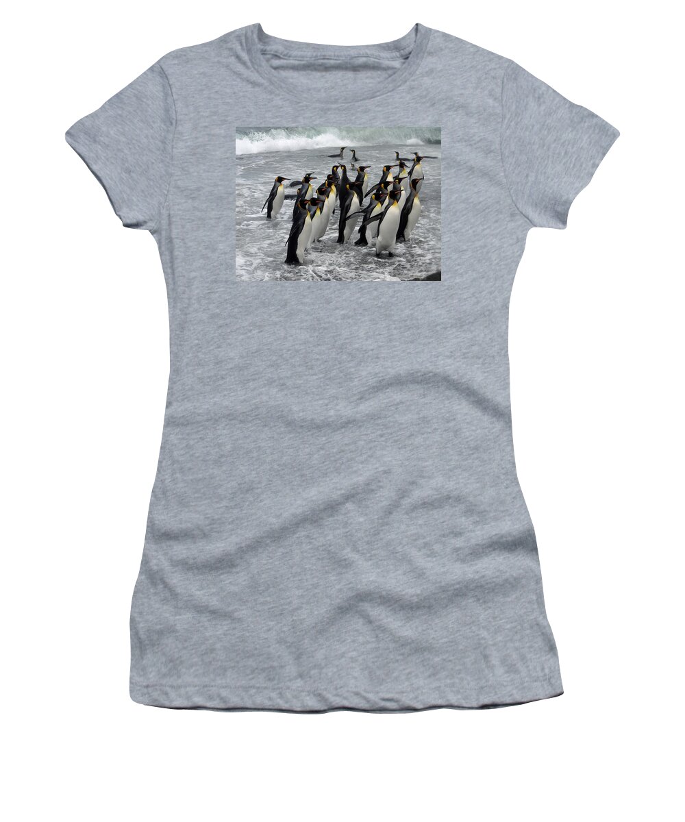 Penguins Women's T-Shirt featuring the photograph Home From The Sea by Ginny Barklow