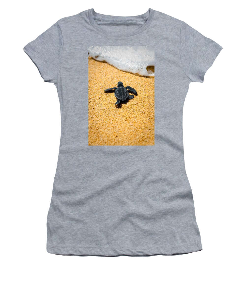Baby Loggerhead Women's T-Shirt featuring the photograph Home by Sebastian Musial