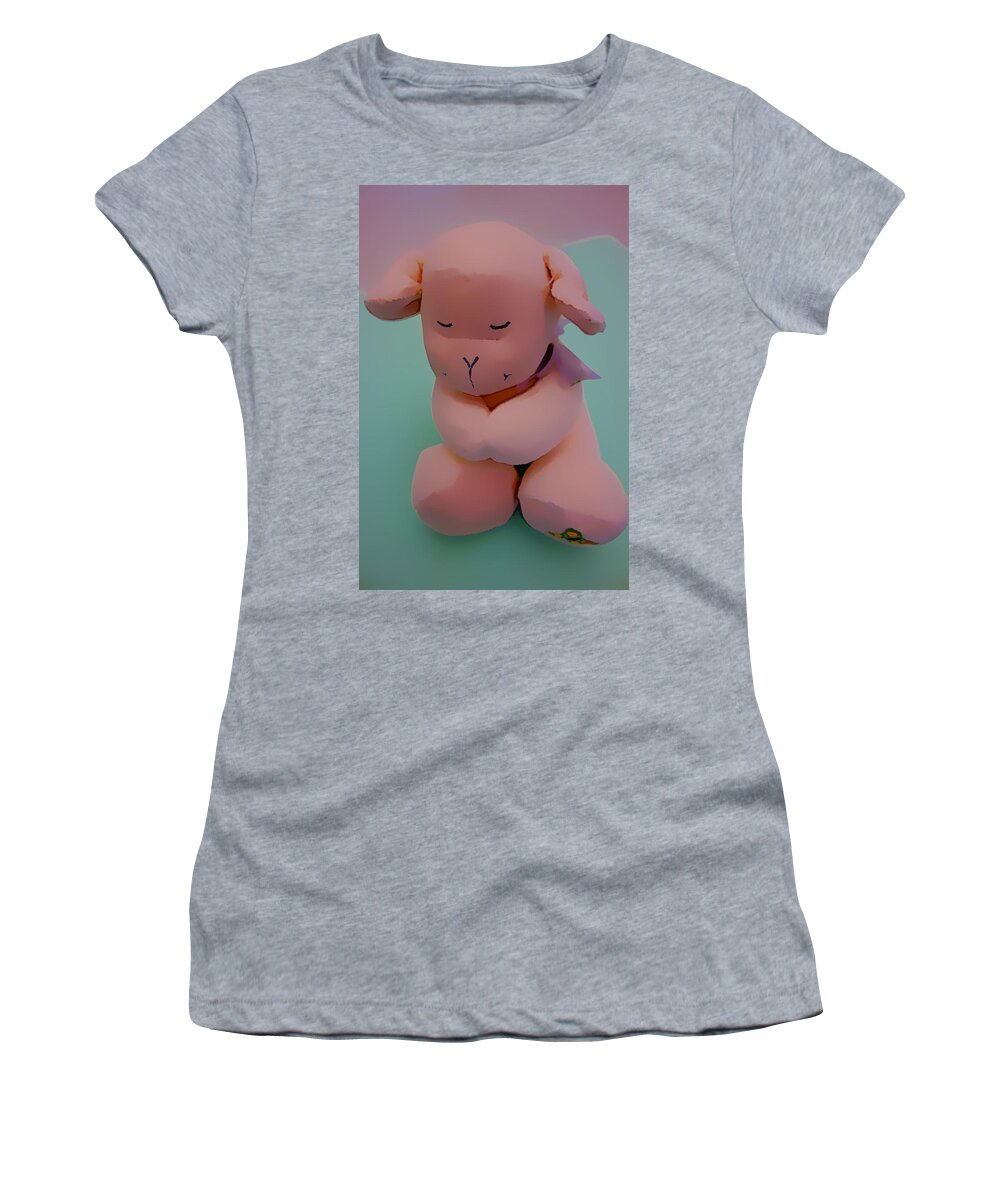 Pink Women's T-Shirt featuring the painting Honey BOO by Joan Reese