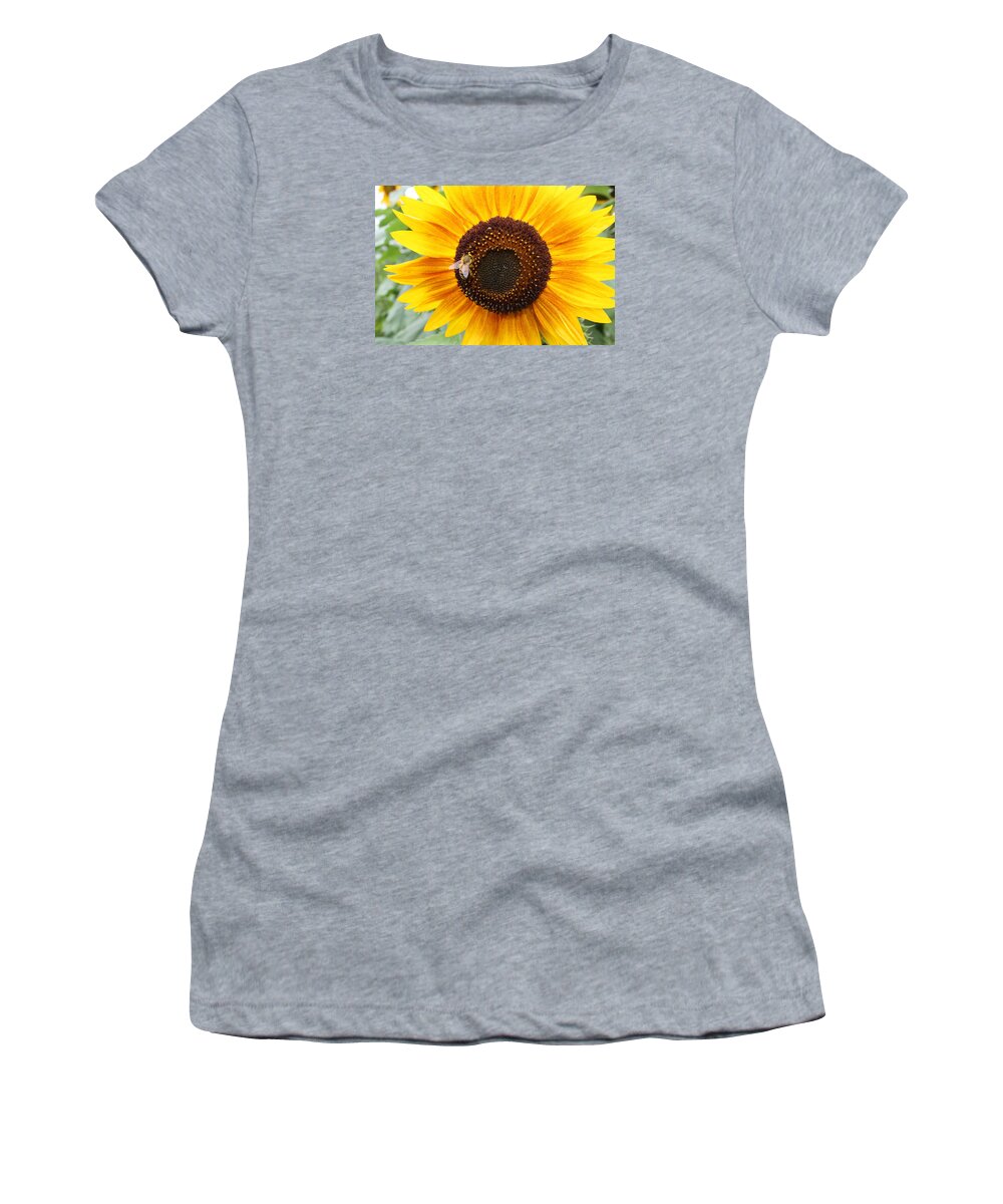 Honeybee Women's T-Shirt featuring the photograph Honeybee on Small Sunflower by Lucinda VanVleck