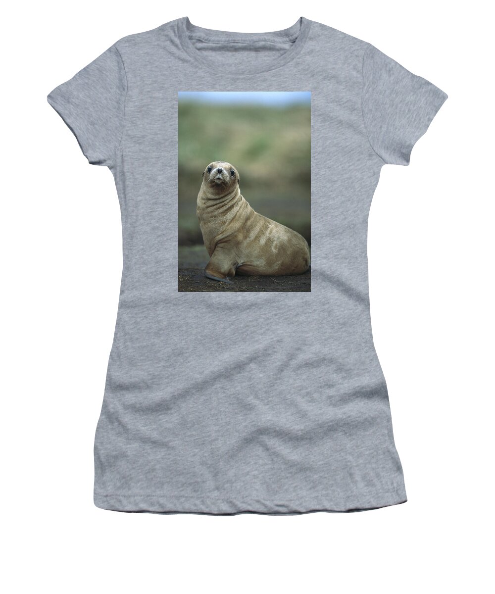 Feb0514 Women's T-Shirt featuring the photograph Hookers Sea Lion Pup Enderby Island by Tui De Roy