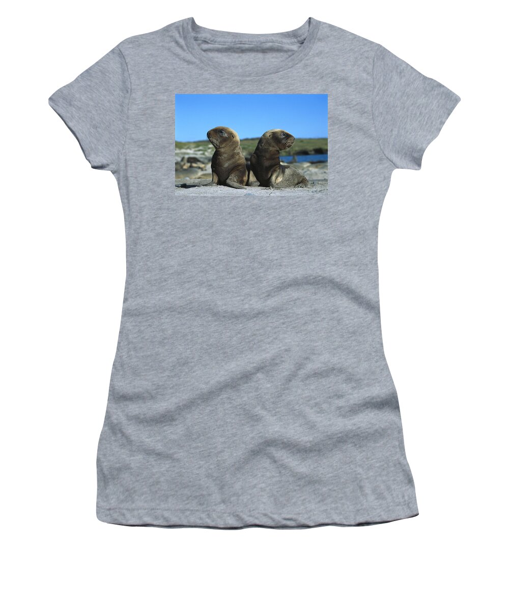 Feb0514 Women's T-Shirt featuring the photograph Hookers Sea Lion Pups Playing Enderby by Tui De Roy