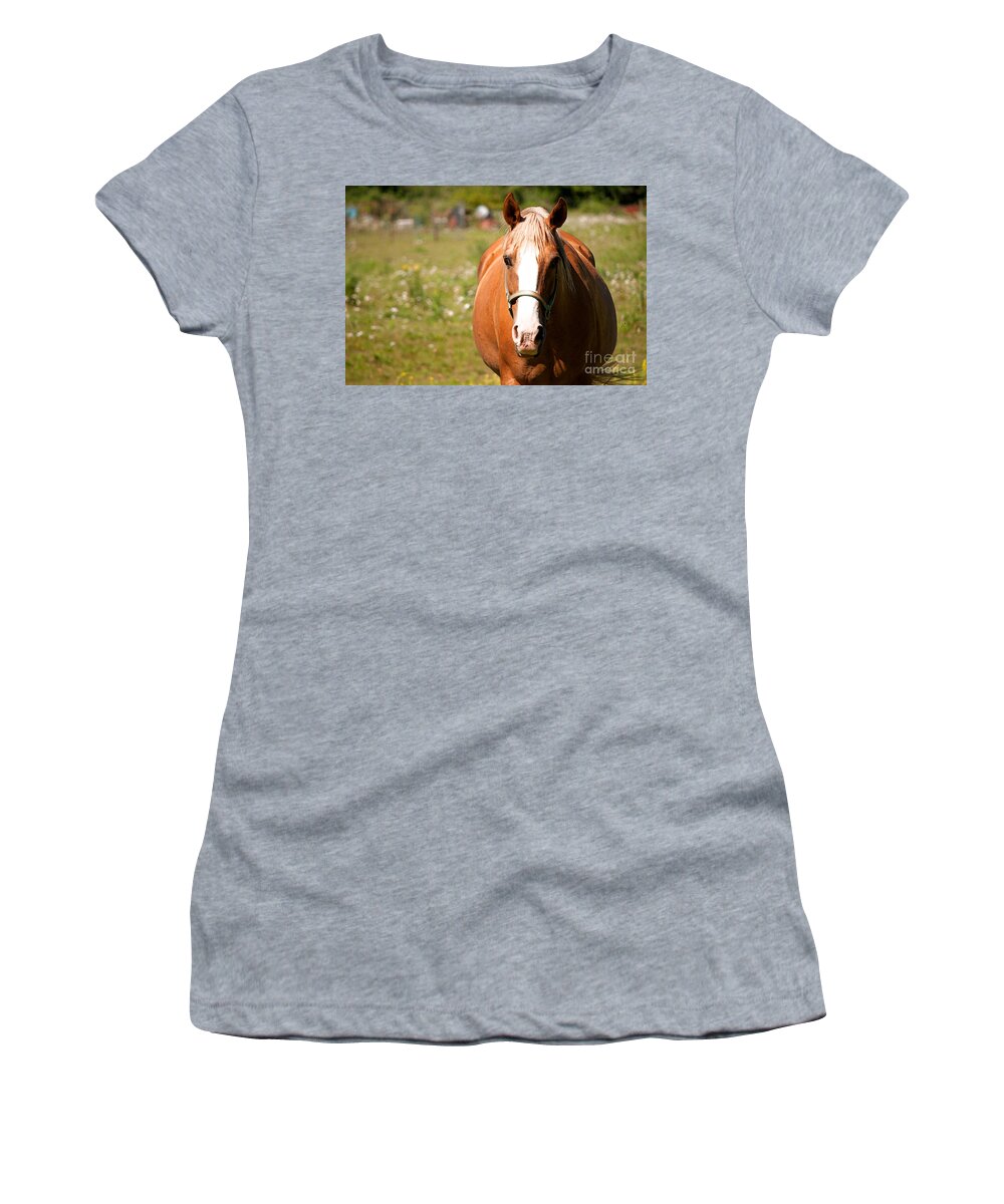 Horse Women's T-Shirt featuring the photograph Horse Howdy by Gwyn Newcombe