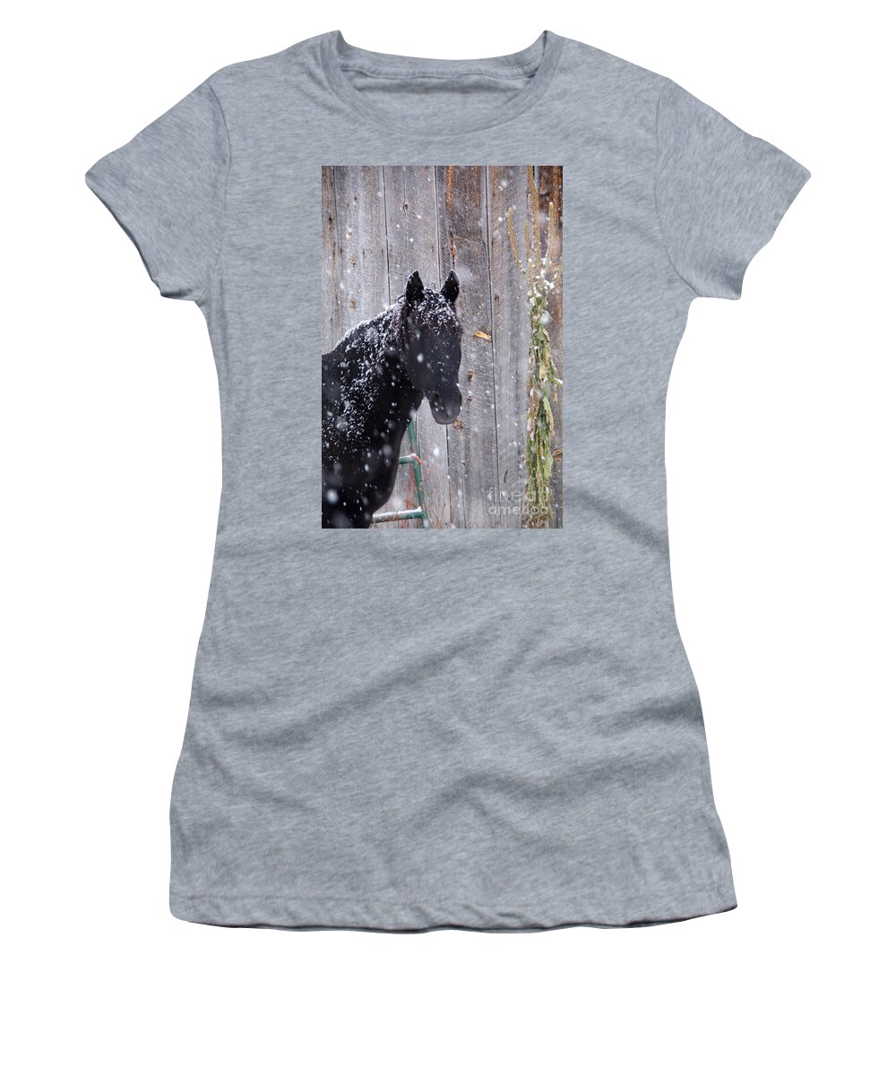 Snow Women's T-Shirt featuring the photograph Horse In Snow by William Munoz