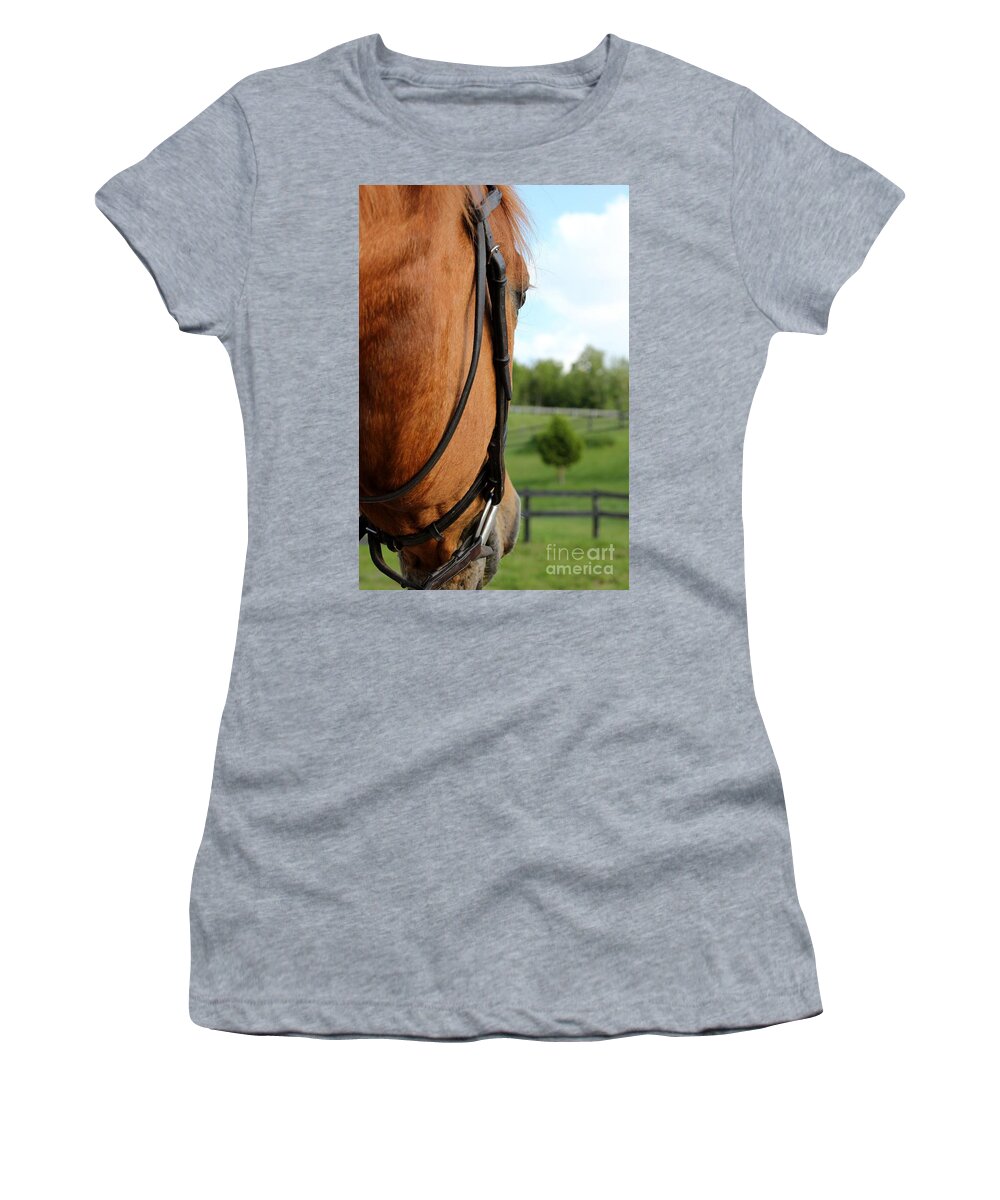 Horse Women's T-Shirt featuring the photograph Horse View by Janice Byer