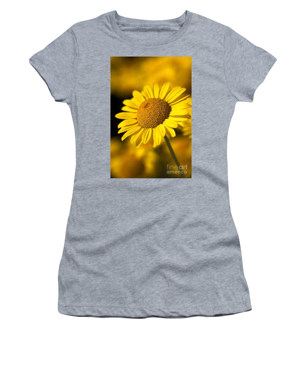 Daisy Women's T-Shirt featuring the photograph Hot in the Sun by Joy Watson