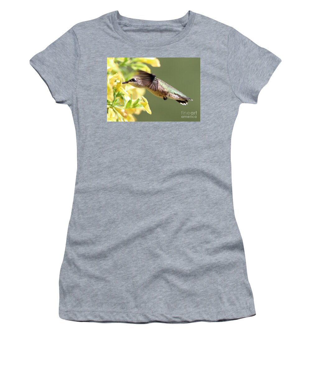 Hummingbird Women's T-Shirt featuring the photograph Hummingbird 3725 by Jack Schultz