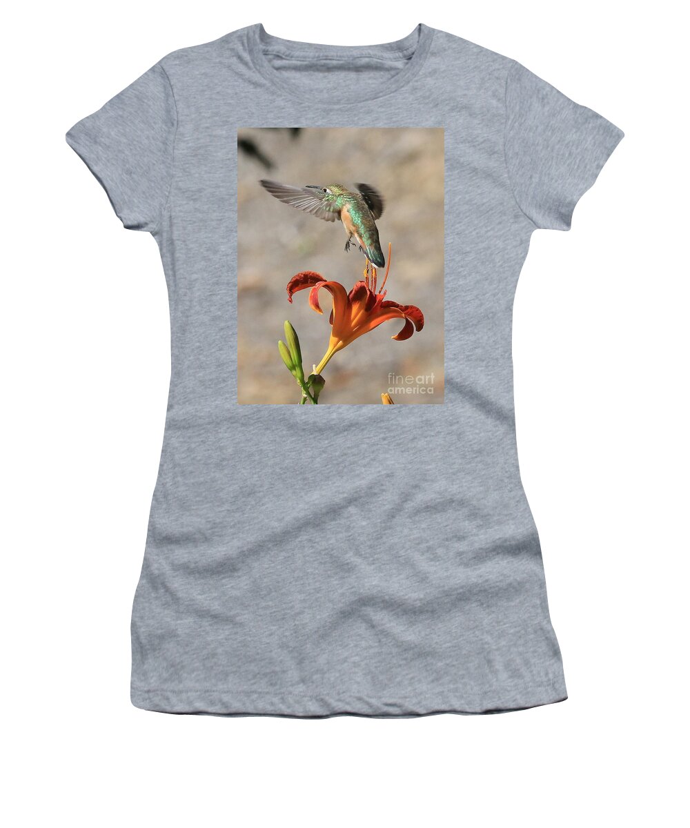 Hummingbird Women's T-Shirt featuring the photograph Hummingbird over the Daylily by Carol Groenen