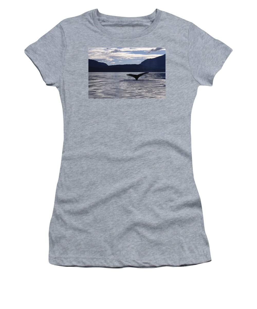 Feb0514 Women's T-Shirt featuring the photograph Humpback Whale Tail At Sunset Southeast by Flip Nicklin