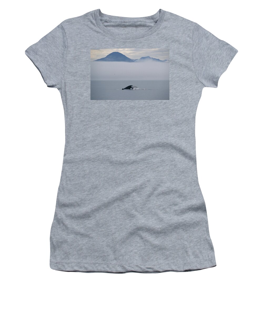 Feb0514 Women's T-Shirt featuring the photograph Humpback Whale Tail Southeast Alaska by Flip Nicklin