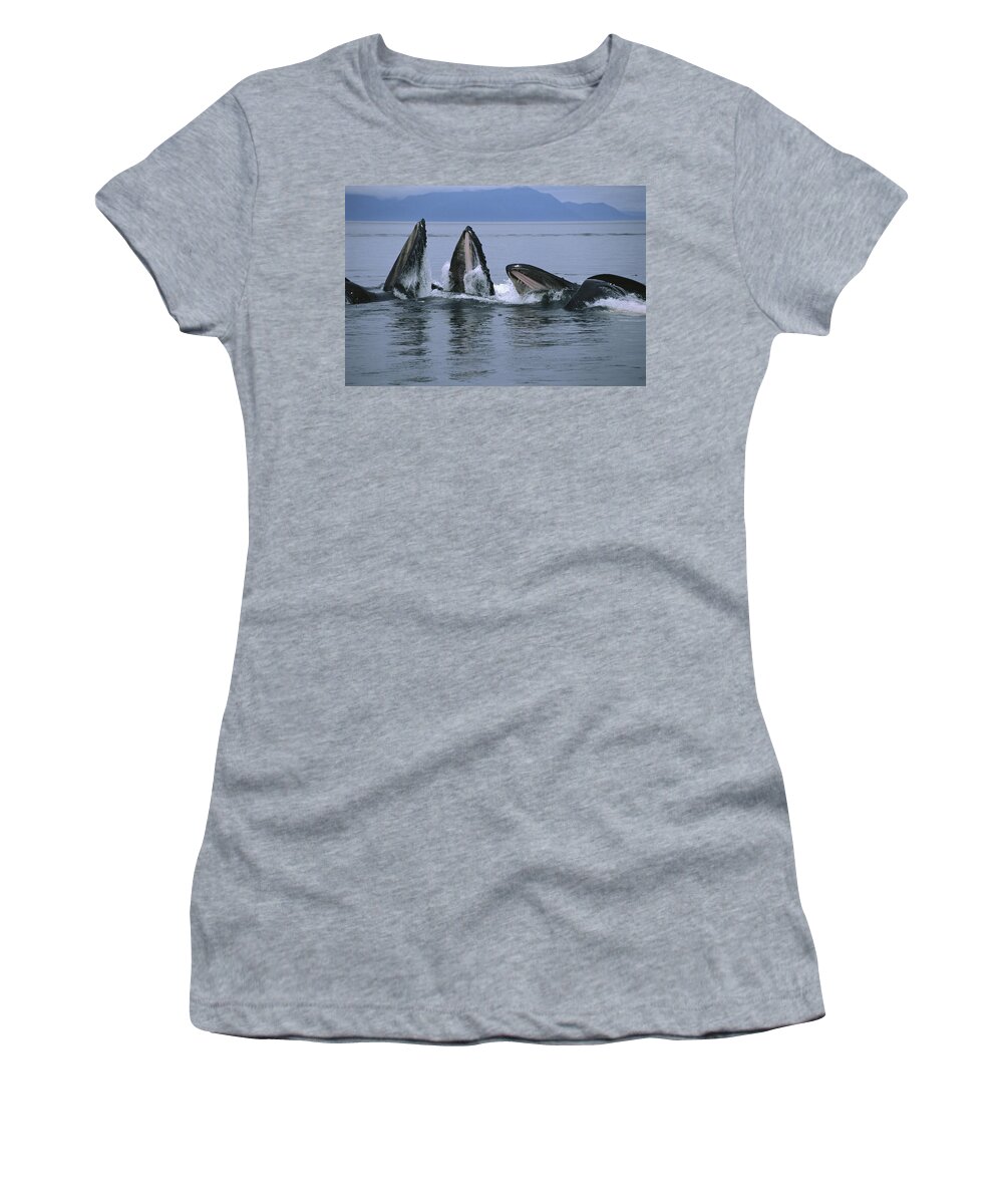 Feb0514 Women's T-Shirt featuring the photograph Humpback Whales Gulp Feeding Southeast by Flip Nicklin