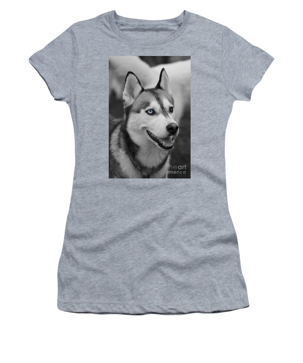 Husky Women's T-Shirt featuring the photograph Husky Portrait by Vicki Spindler