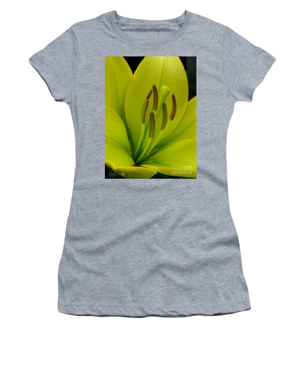 Hybrid Lily Women's T-Shirt featuring the photograph Hybrid Lily named Trebbiano by J McCombie