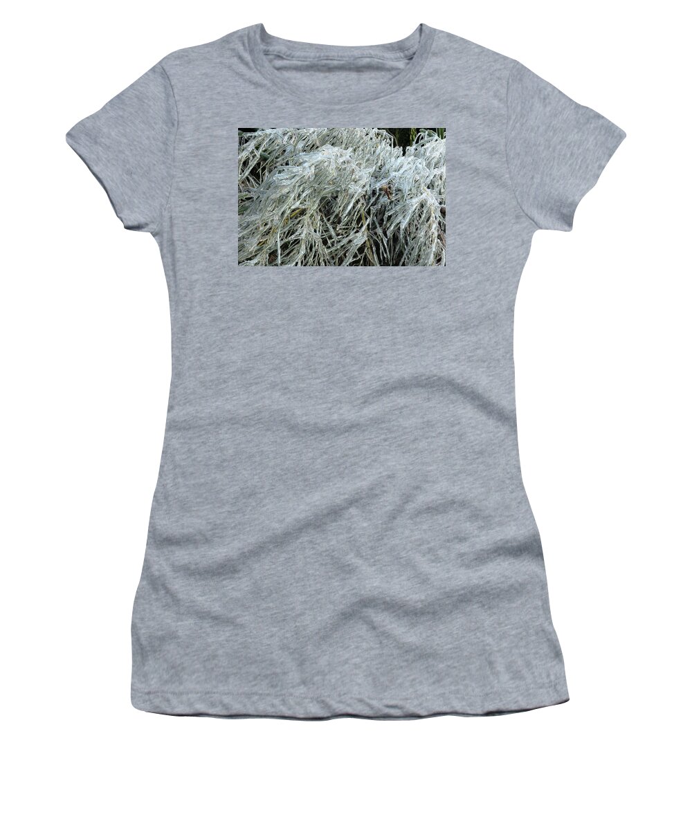 Ice Women's T-Shirt featuring the photograph Ice On Bamboo Leaves by Daniel Reed