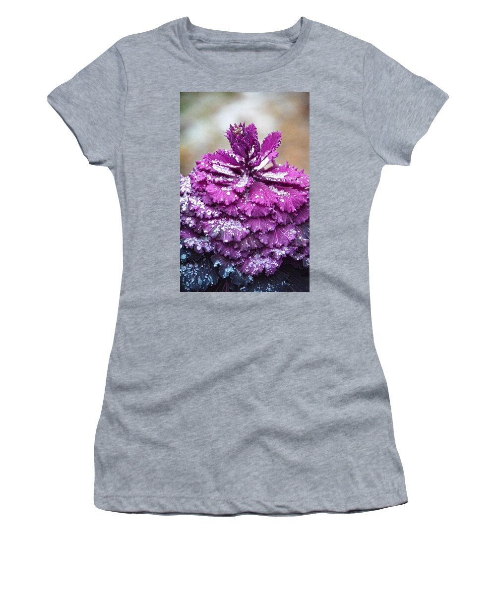 Kale Women's T-Shirt featuring the photograph Icey Kale Plant by Sandi OReilly