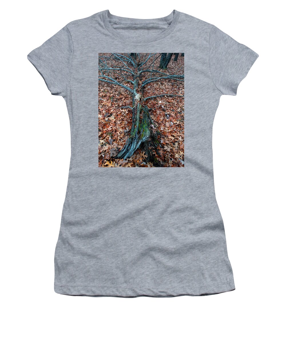 Tree Women's T-Shirt featuring the photograph If a Tree Falls in the Woods by David T Wilkinson