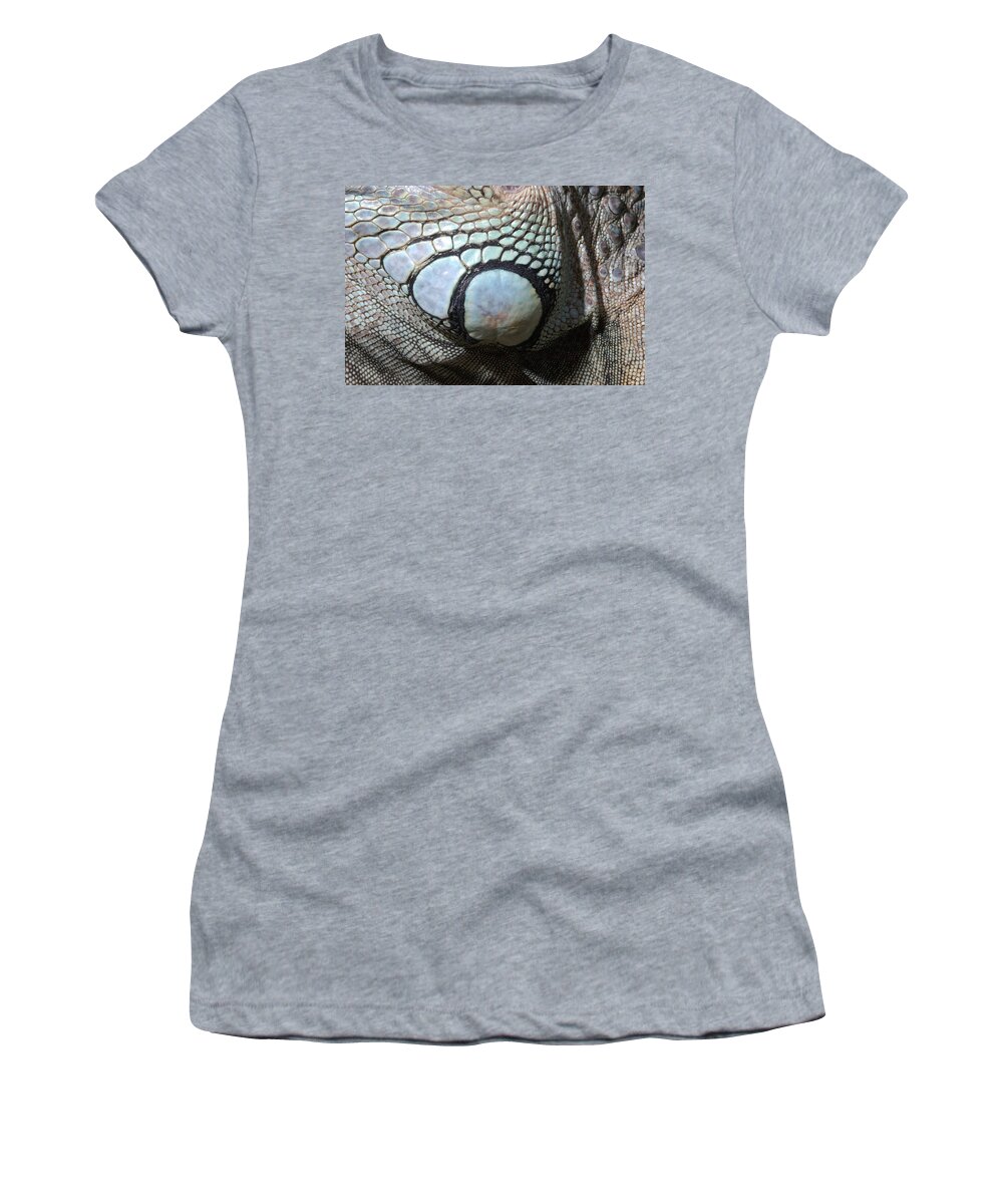 Iguana Subtympanic Shield Scale Women's T-Shirt by John Mitchell - Pixels