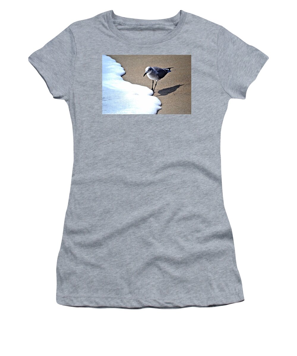 Seagull Women's T-Shirt featuring the photograph I'll Just Stick My Toes In by Tara Potts