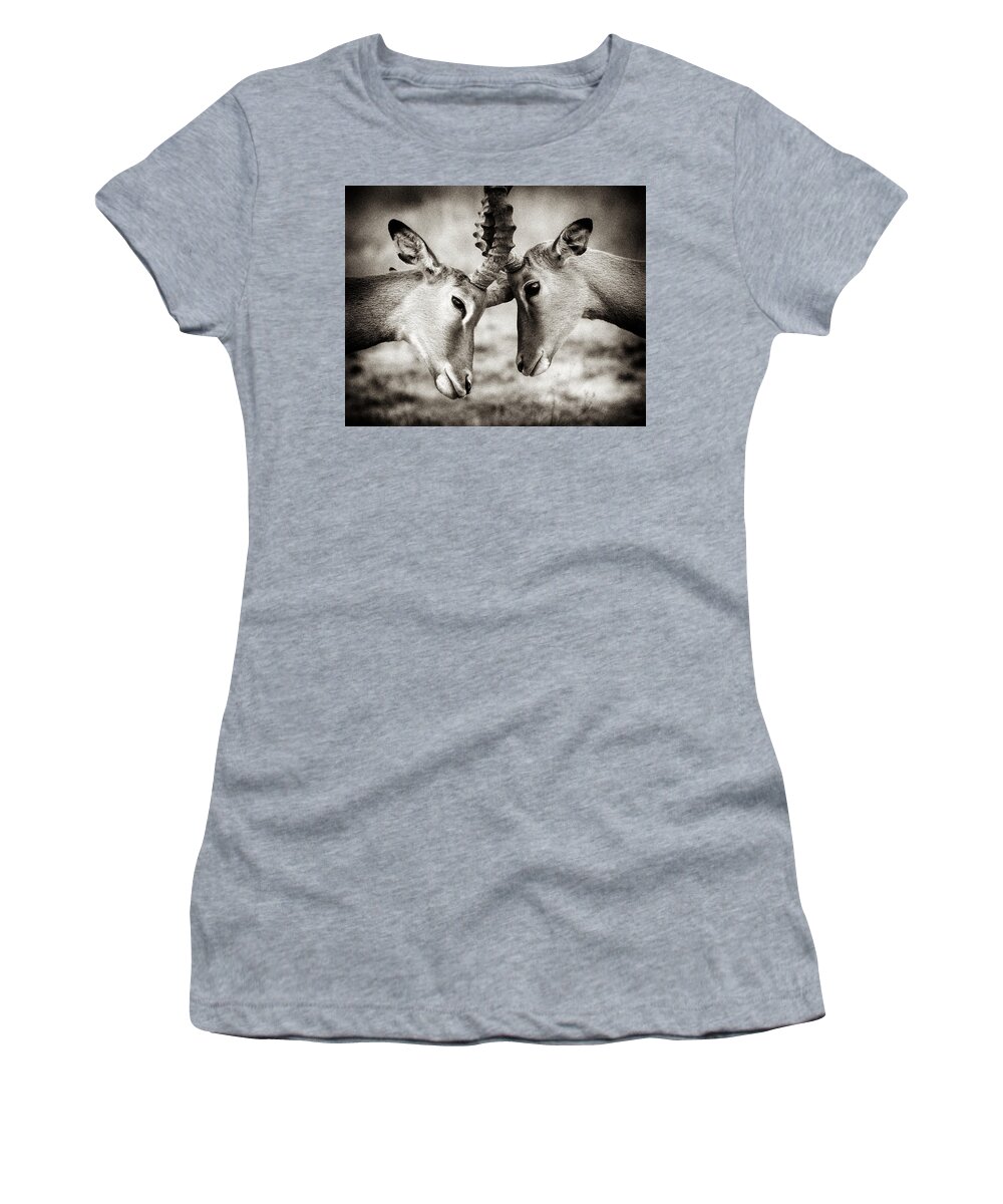Africa Women's T-Shirt featuring the photograph Impala Nudge - Selenium Toned by Mike Gaudaur