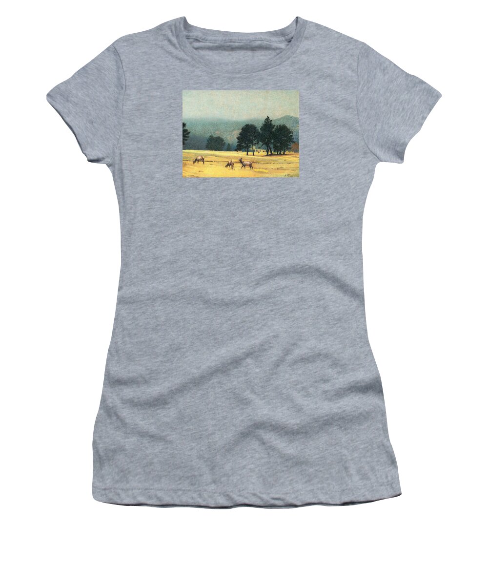 Art Women's T-Shirt featuring the drawing Impression Evergreen Colorado by Dan Miller