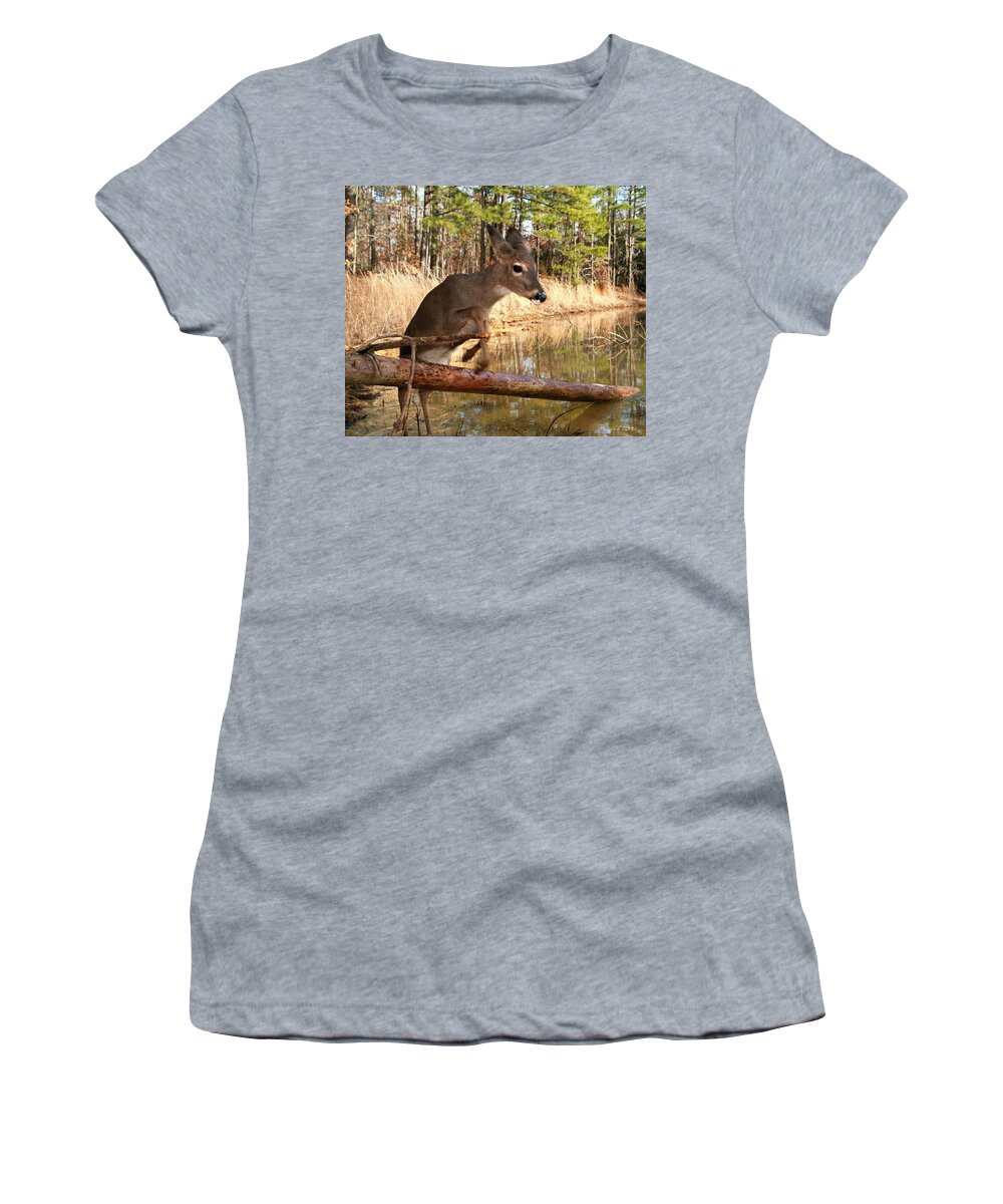 Wildlife Women's T-Shirt featuring the photograph In A Flash by Bill Stephens