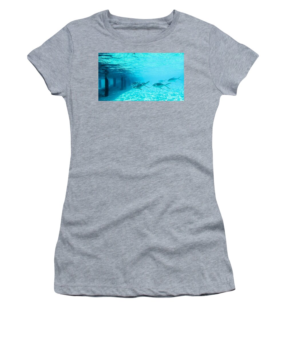 Animal Women's T-Shirt featuring the photograph In The Turquoise Water by Hannes Cmarits