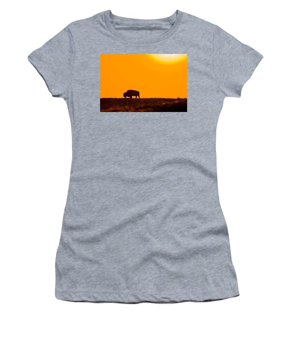 Bison Women's T-Shirt featuring the photograph Into The Night by Donald J Gray