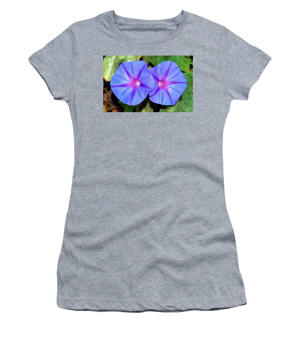 Morning Glory Women's T-Shirt featuring the photograph Ipomoea Purple Flowers by Taiche Acrylic Art