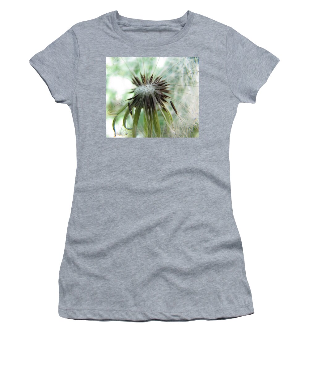 Dandelion Women's T-Shirt featuring the photograph Isn't It Dandy by Jennifer Wheatley Wolf