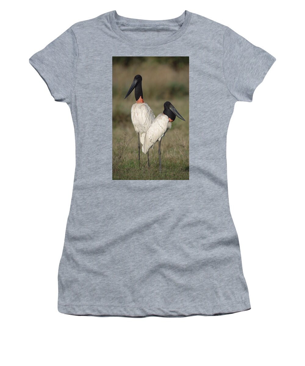 Feb0514 Women's T-Shirt featuring the photograph Jabiru Stork Pair Courting Pantanal by Tui De Roy