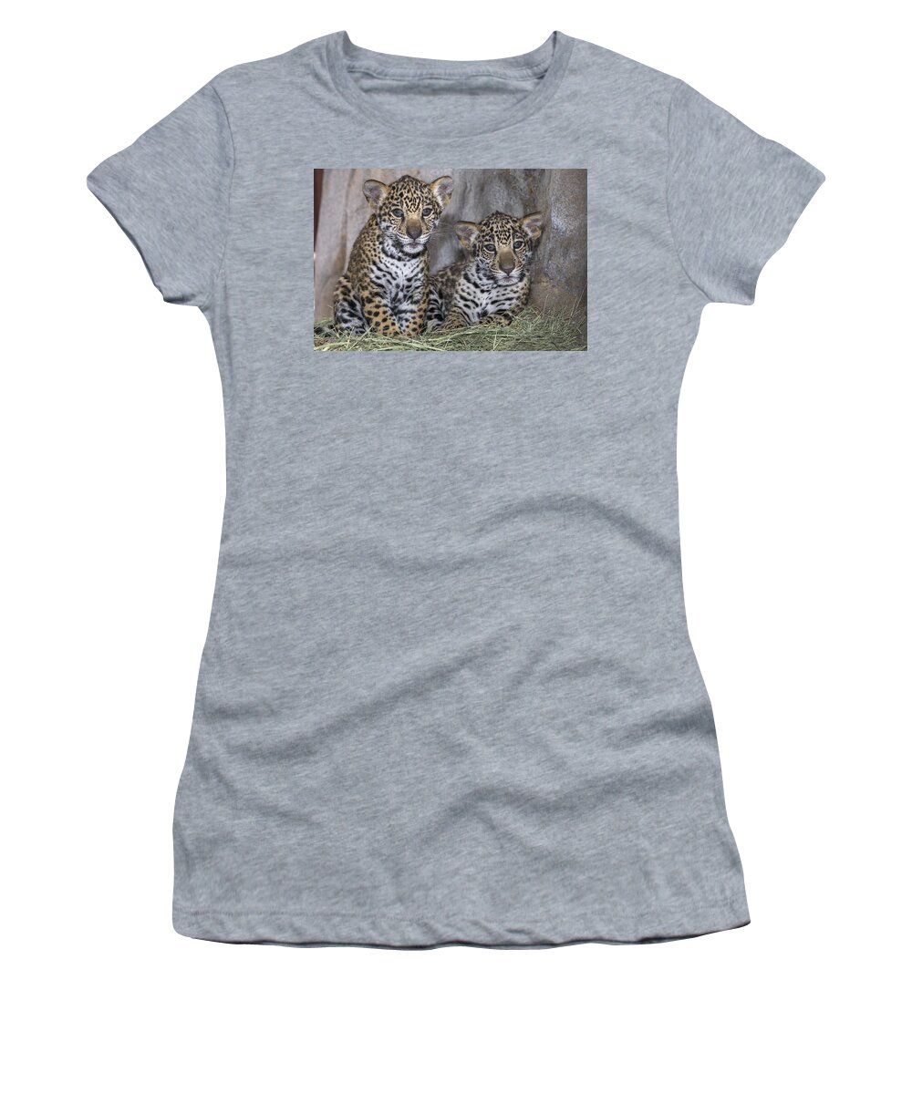 Feb0514 Women's T-Shirt featuring the photograph Jaguar Cubs by San Diego Zoo