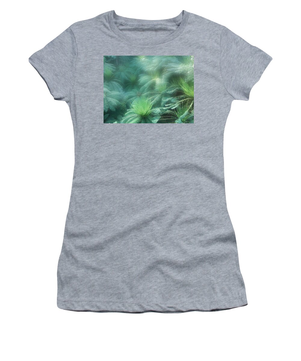 Tree Ferns Women's T-Shirt featuring the photograph Jurassic Gully by Evelyn Tambour