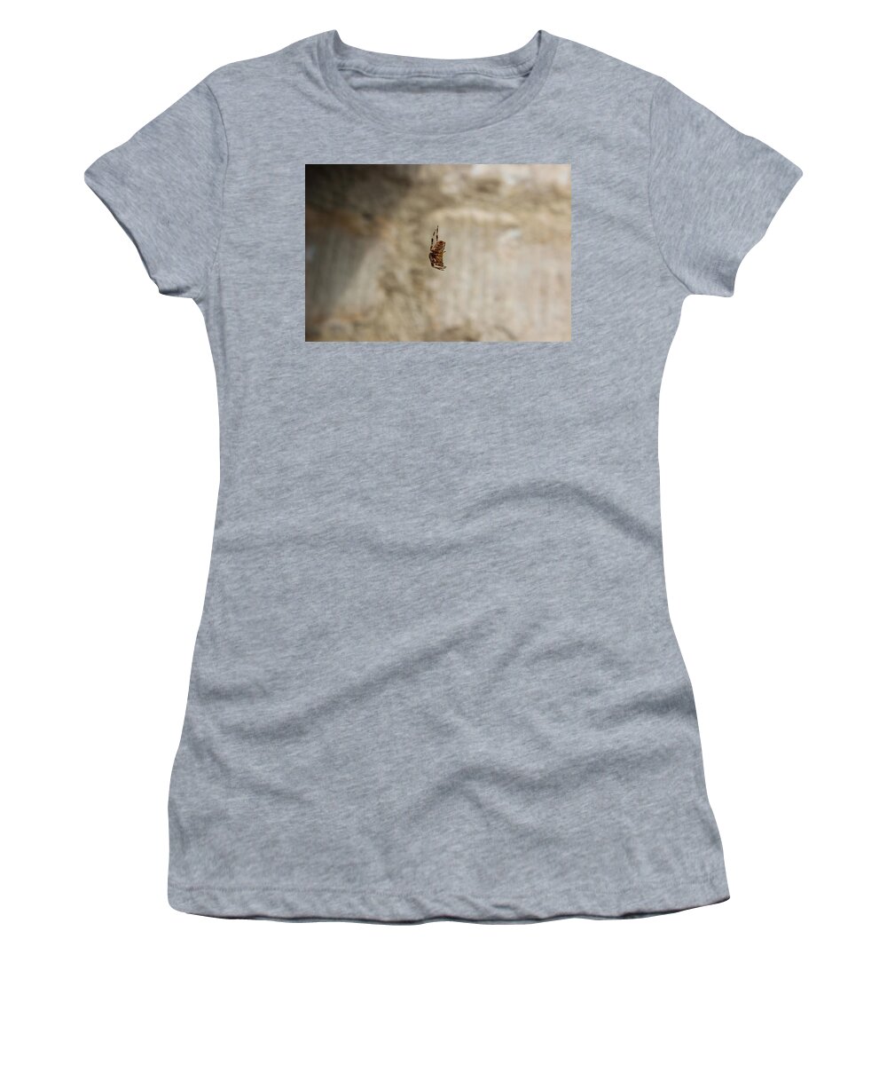 Spider Women's T-Shirt featuring the photograph Just Hanging Around by Sarah Qua