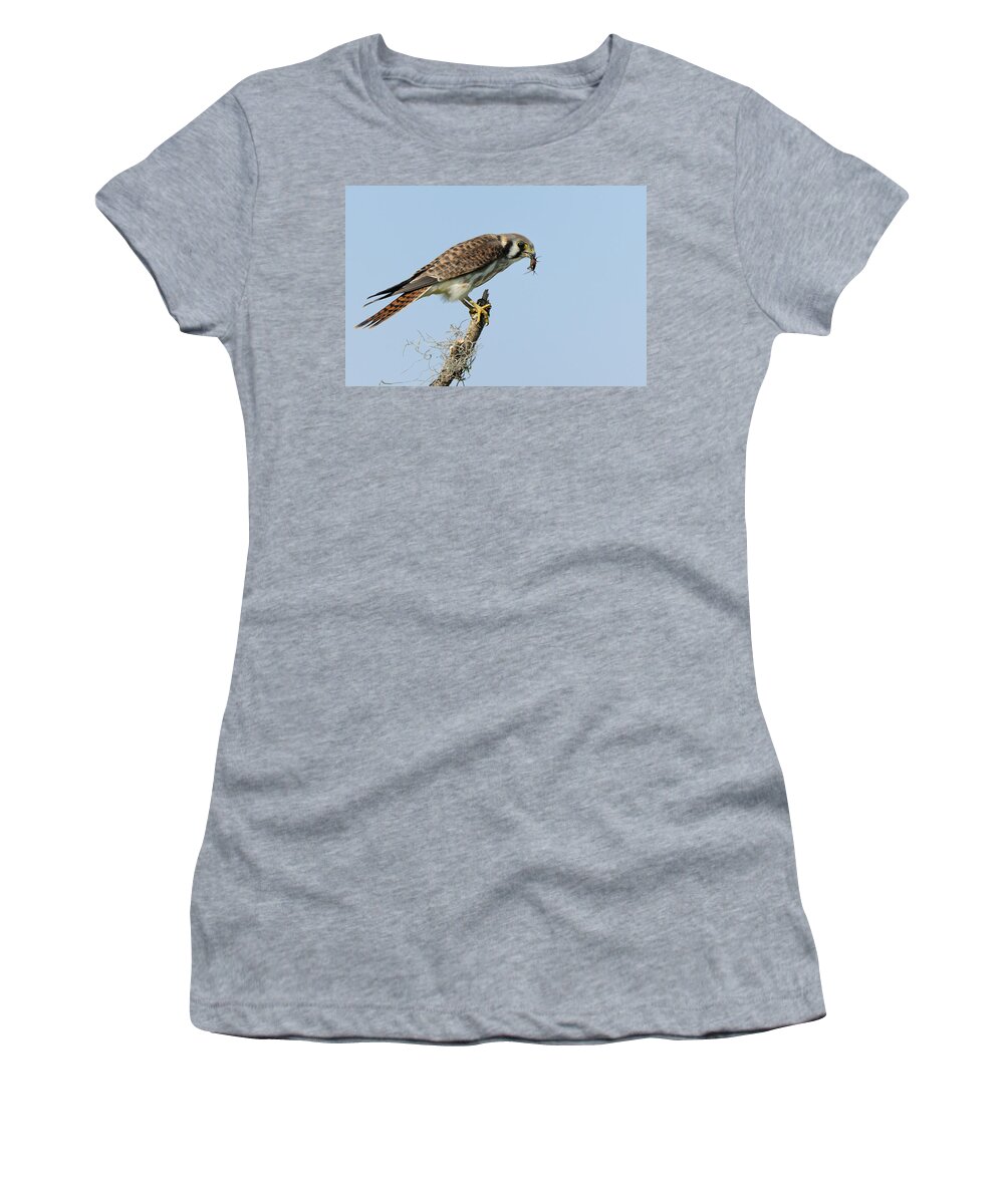 Kestrel Women's T-Shirt featuring the photograph Kestrel with a cricket by Bradford Martin