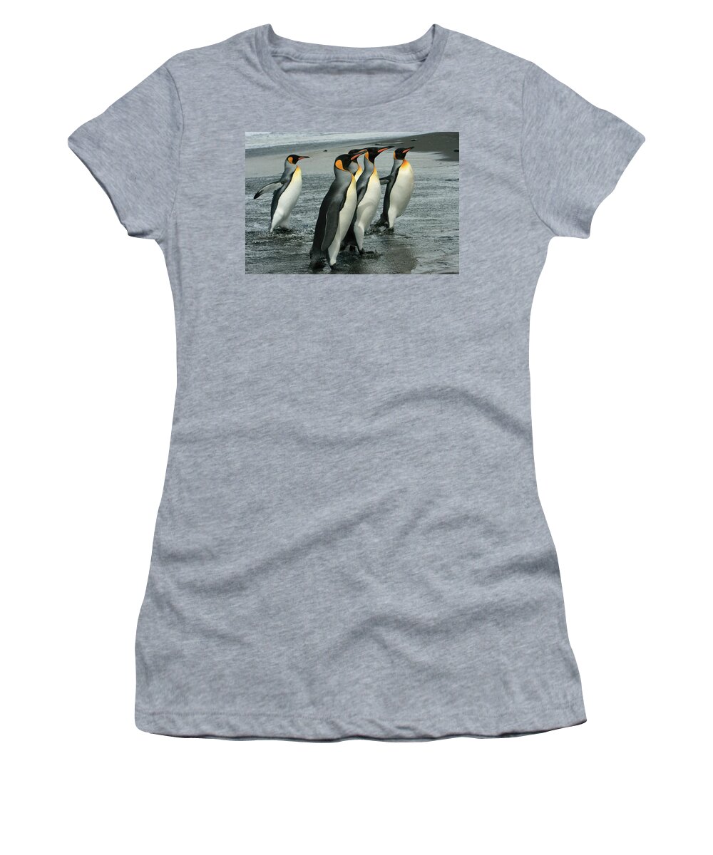 King Penguins Coming Ashore Women's T-Shirt featuring the photograph King Penguins Coming Ashore by Amanda Stadther
