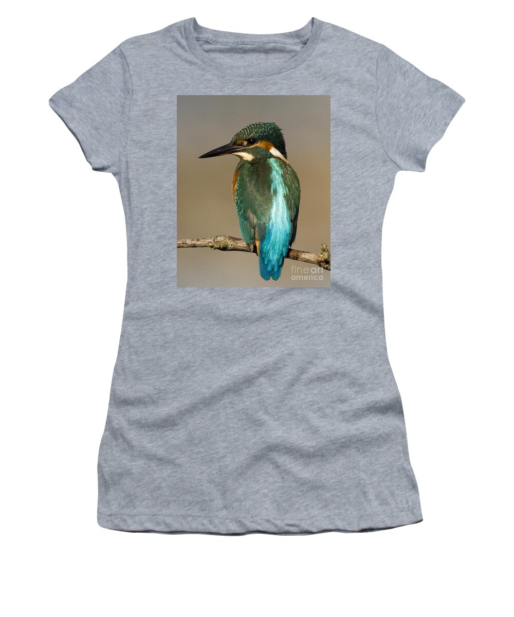 Kingfisher Women's T-Shirt featuring the photograph Kingfisher3 by Tony Mills